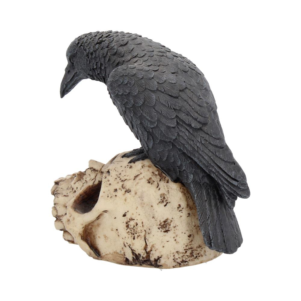 Ravens Remains – Decor Gotico-Macabrul Perfect [4]