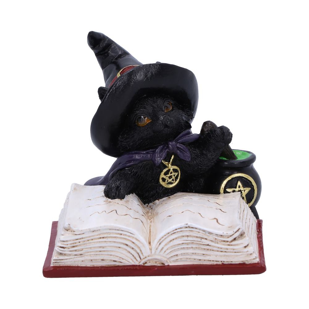 Statueta Familiar's Brew 8,5 cm - Decoratiune gotica cu pisica neagra si ceaun mistic [3]