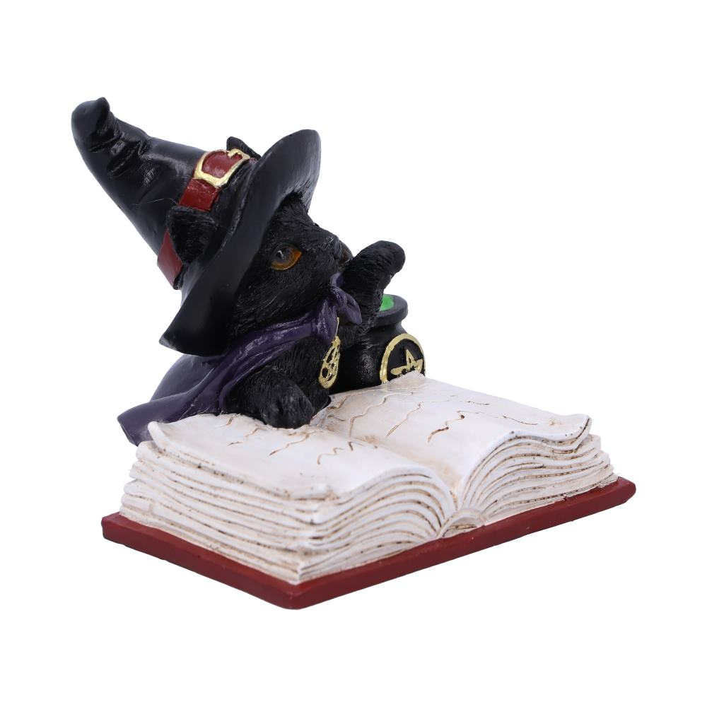 Statueta Familiar's Brew 8,5 cm - Decoratiune gotica cu pisica neagra si ceaun mistic [6]