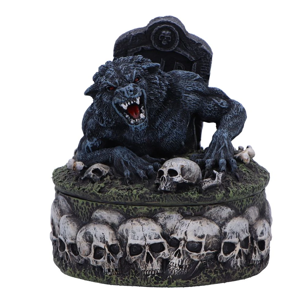Statueta Treasures of the Lycan – Lup si Craniu [2]