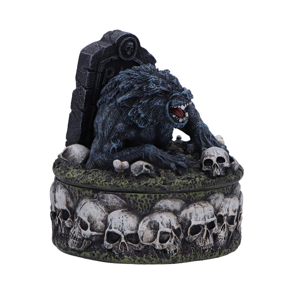 Statueta Treasures of the Lycan – Lup si Craniu [6]