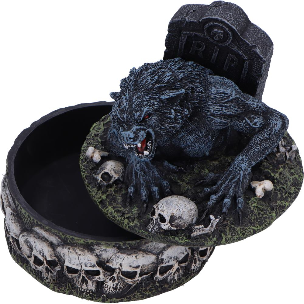 Statueta Treasures of the Lycan – Lup si Craniu [8]