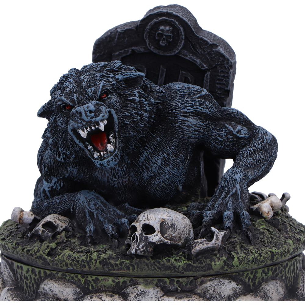 Statueta Treasures of the Lycan – Lup si Craniu [7]