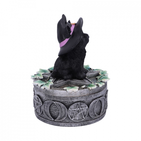 Cutie decorativa Ivy Familiar Box – Pisica neagra cu iedera [5]