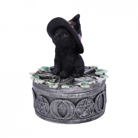 Cutie decorativa Ivy Familiar Box – Pisica neagra cu iedera [3]