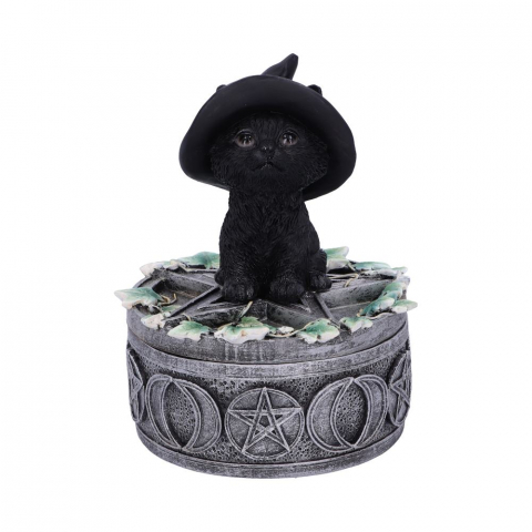 Cutie decorativa Ivy Familiar Box – Pisica neagra cu iedera [2]