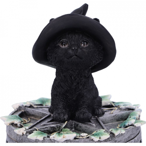 Cutie decorativa Ivy Familiar Box – Pisica neagra cu iedera [6]