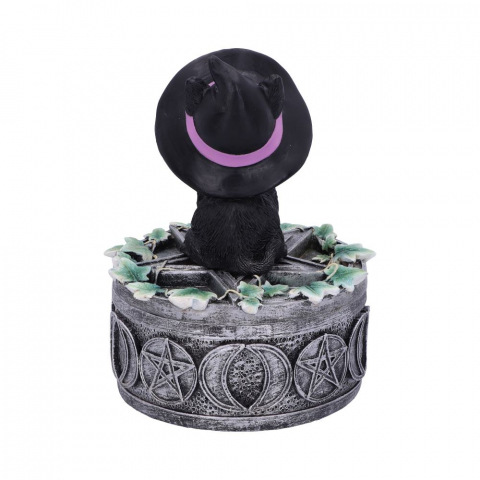 Cutie decorativa Ivy Familiar Box – Pisica neagra cu iedera [4]