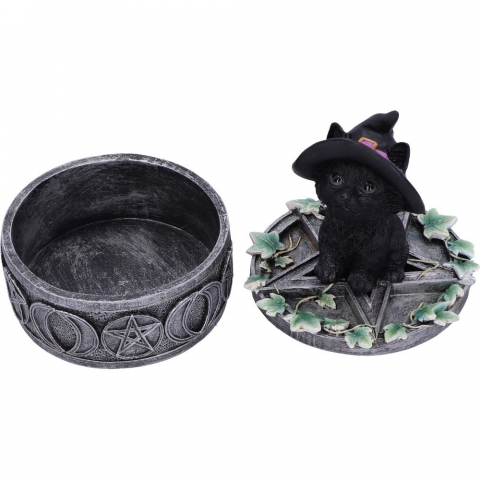 Cutie decorativa Ivy Familiar Box – Pisica neagra cu iedera [7]