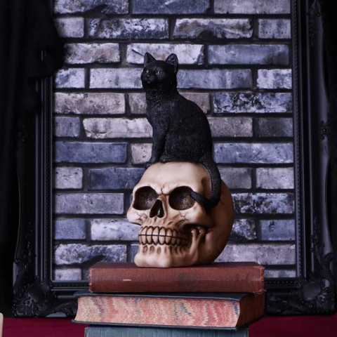 Cranii Gotice - Figurină Familiar Fate – Pisică Neagră Vrăjitorească și Craniu, 24.3 cm