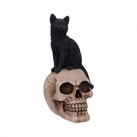 Figurină Familiar Fate – Pisică Neagră Vrăjitorească și Craniu, 24.3 cm [2]