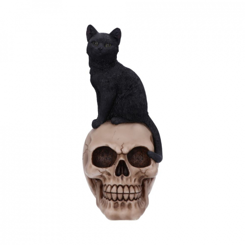 Figurină Familiar Fate – Pisică Neagră Vrăjitorească și Craniu, 24.3 cm [3]