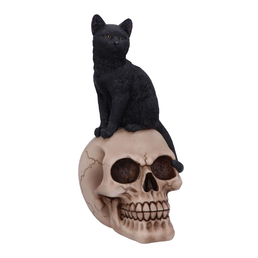 Figurină Familiar Fate – Pisică Neagră Vrăjitorească și Craniu, 24.3 cm [1]