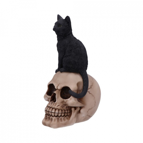 Figurină Familiar Fate – Pisică Neagră Vrăjitorească și Craniu, 24.3 cm [4]