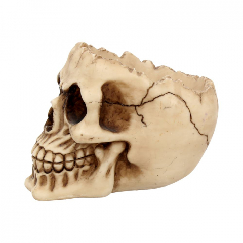 Ornament "Lobo Skull" - Craniu Uman Decorativ [4]