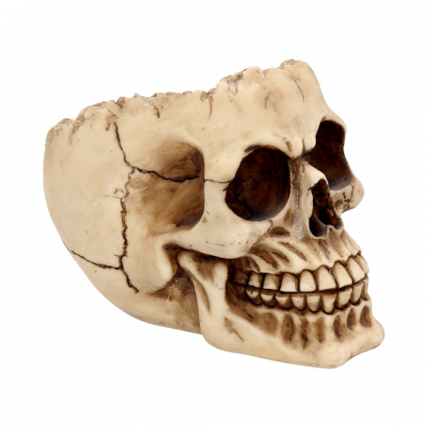Ornament "Lobo Skull" - Craniu Uman Decorativ [2]