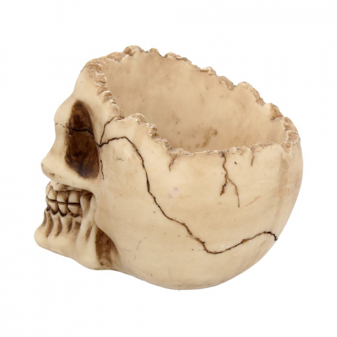 Ornament "Lobo Skull" - Craniu Uman Decorativ [5]