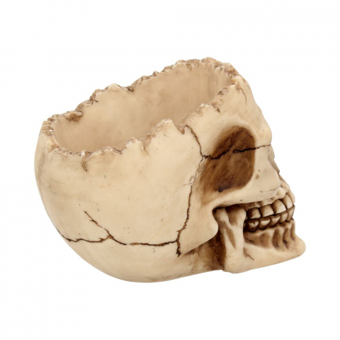 Ornament "Lobo Skull" - Craniu Uman Decorativ [7]