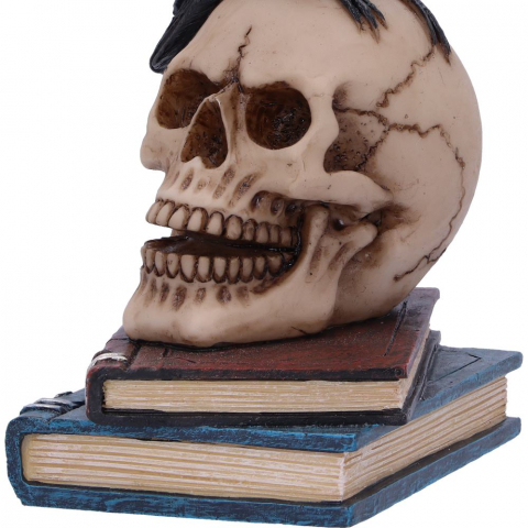 Raven's Spell – Figurina Gotica cu Corb si Craniu [6]