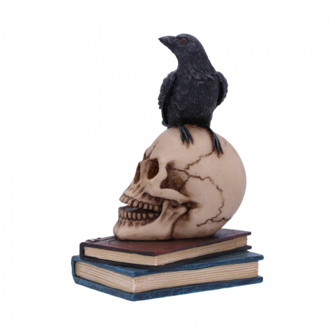 Raven's Spell – Figurina Gotica cu Corb si Craniu [4]