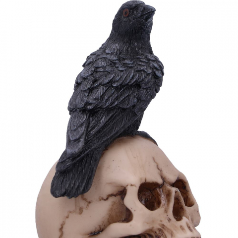 Raven's Spell – Figurina Gotica cu Corb si Craniu [7]