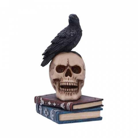 Raven's Spell – Figurina Gotica cu Corb si Craniu [3]