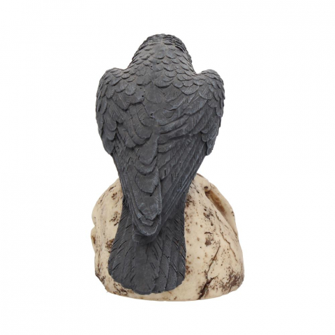 Ravens Remains – Decor Gotico-Macabrul Perfect [4]