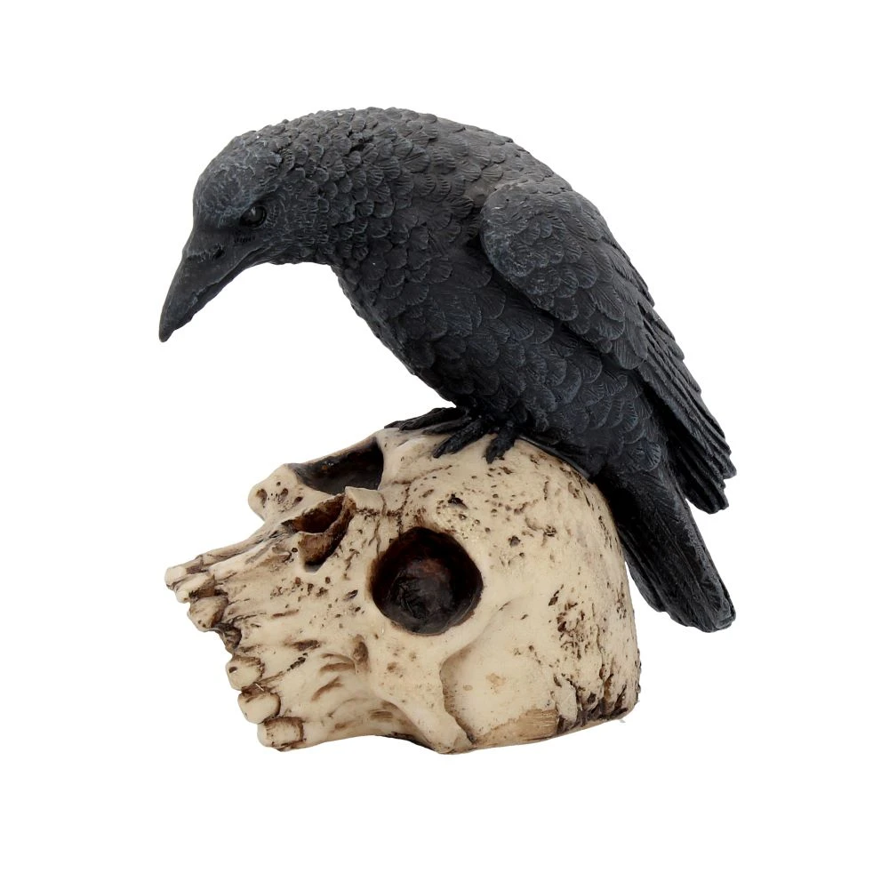 Cranii Gotice - Ravens Remains – Decor Gotico-Macabrul Perfect
