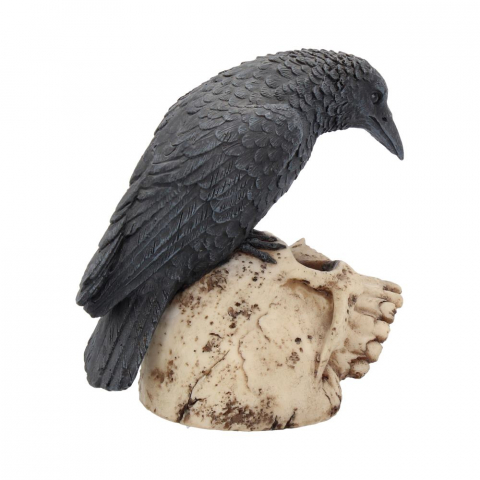 Ravens Remains – Decor Gotico-Macabrul Perfect [5]
