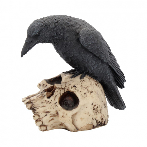 Ravens Remains – Decor Gotico-Macabrul Perfect [2]