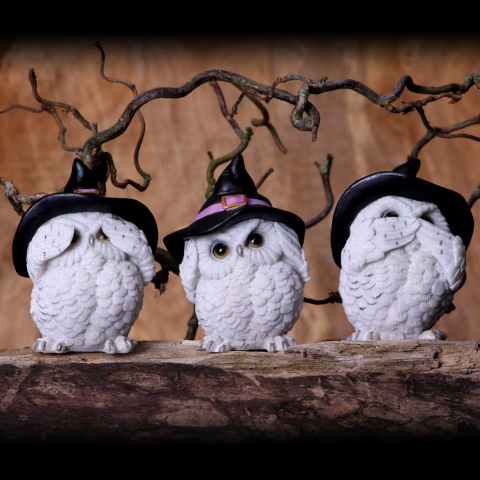 Set de 3 figurine bufnite albe "Trei intelepte" – 9 cm [0]