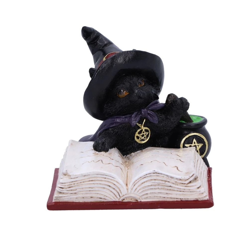 Statueta Familiar's Brew 8,5 cm - Decoratiune gotica cu pisica neagra si ceaun mistic [1]