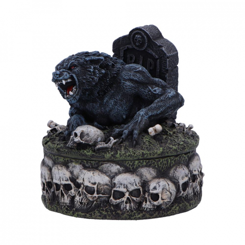 Statueta Treasures of the Lycan – Lup si Craniu [3]