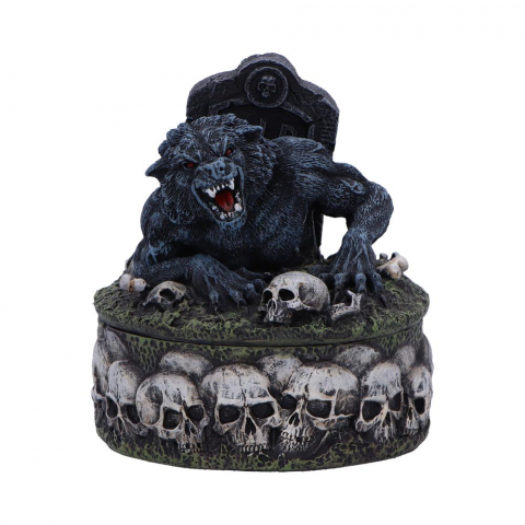 Statueta Treasures of the Lycan – Lup si Craniu [2]