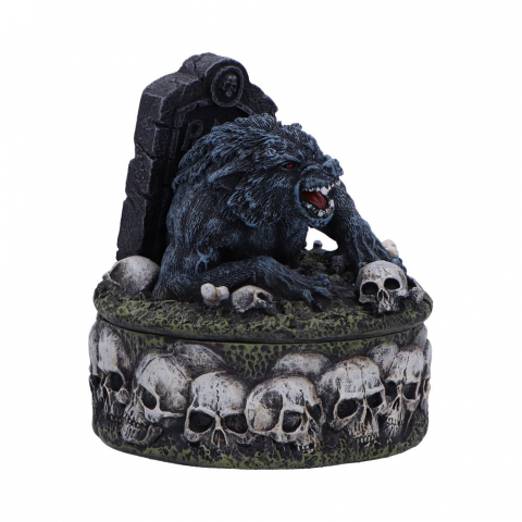 Statueta Treasures of the Lycan – Lup si Craniu [5]