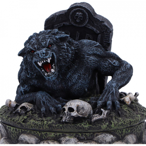 Statueta Treasures of the Lycan – Lup si Craniu [6]