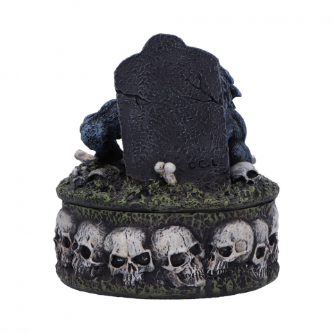 Statueta Treasures of the Lycan – Lup si Craniu [4]