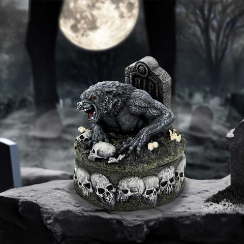 Decor - Statueta Treasures of the Lycan – Lup si Craniu