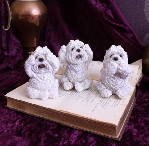 Three Wise Westies – Figurine Westie "Nu vad, nu aud, nu vorbesc"​ [7]