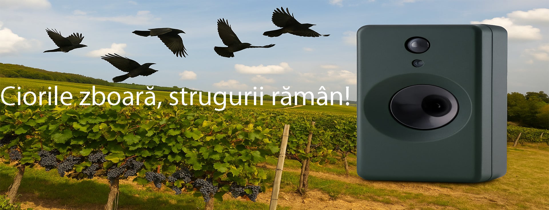 Dispozitive pentru alungarea pasarilor