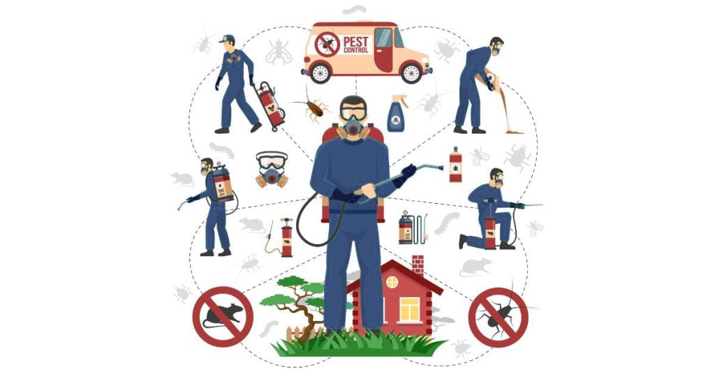 De ce să alegi soluții profesionale împotriva dăunătorilor? | Evo-Pest.ro