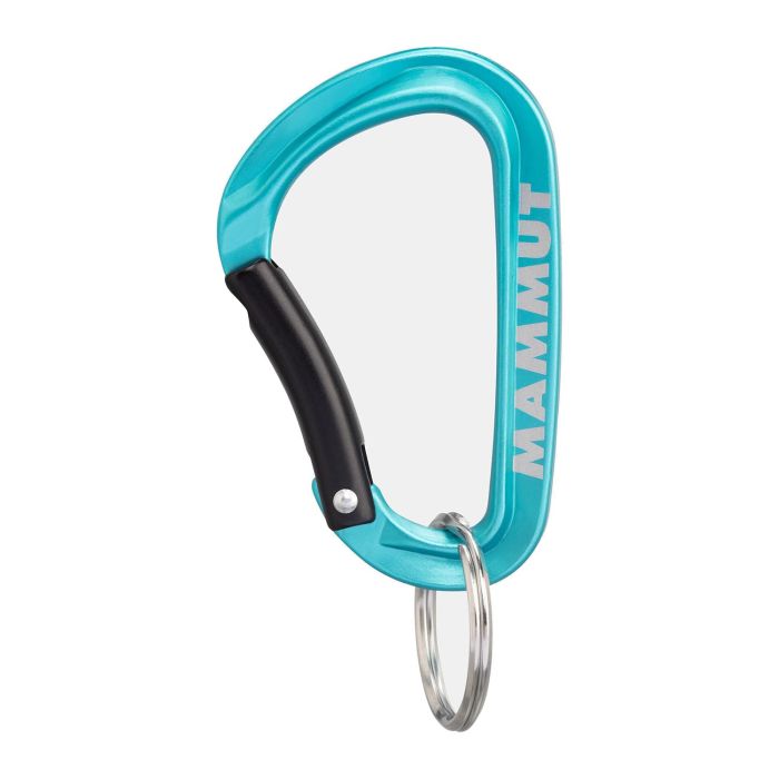 Mammut Mini Classic Keylock S Carabiniera Breloc [2]