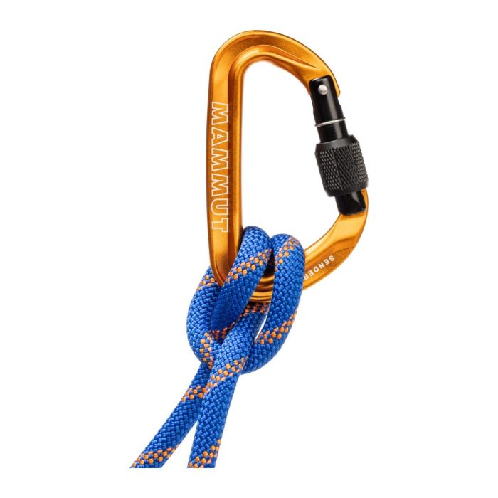 Mammut Sender Screw Gate Gold Carabiniera Siguranta [3]