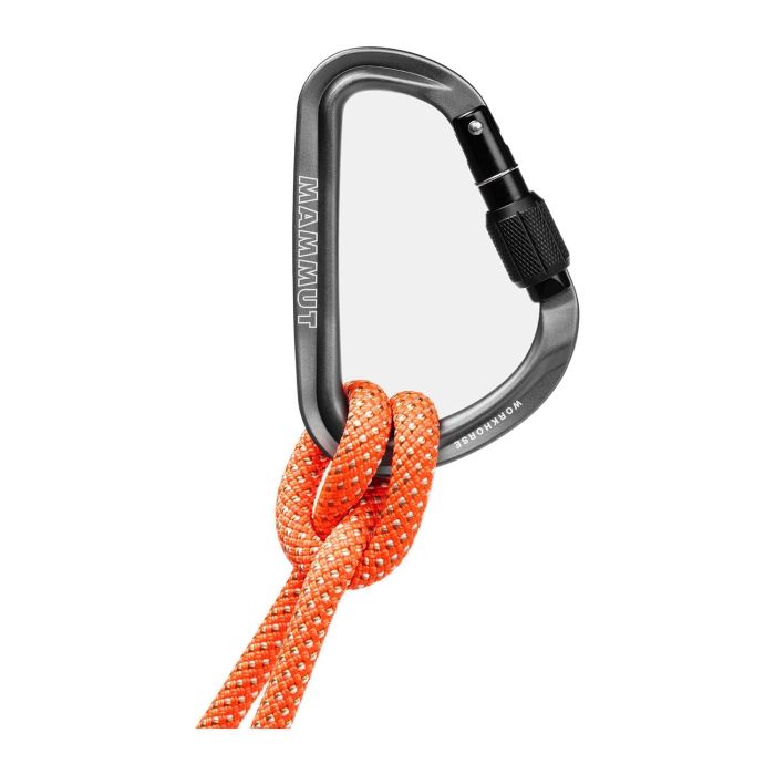 Mammut Workhorse HMS Carabiniera Filet [2]