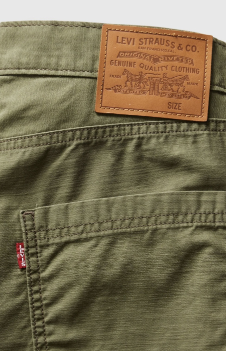 Pantaloni Cargo Levi's® 568™ Loose Straight – Ivy Green [2]