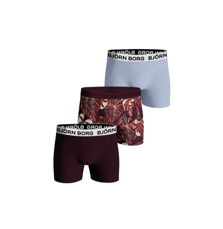 Băieți - Set 3 Perechi Boxeri din Bumbac Elastic Premium Björn Borg Core Multi