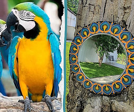 Tablou mandala pictat in tehnica punctului cu oglinda- 30 cm [1]