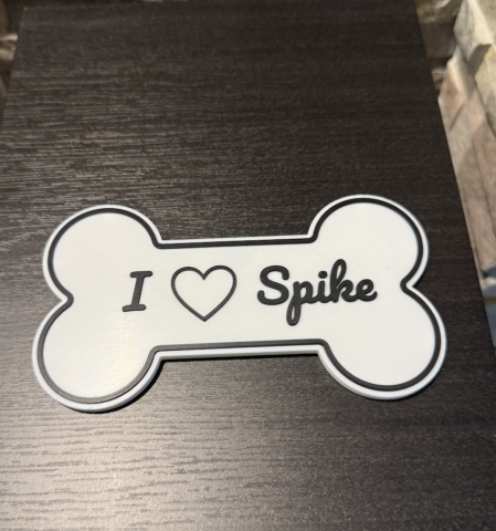 Personalizabile - Placuta decorativa personalizata cu numele animalului de companie