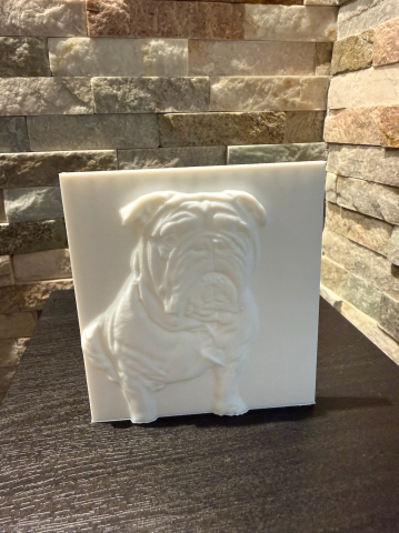 Personalizabile - Sculptura personalizata din poza