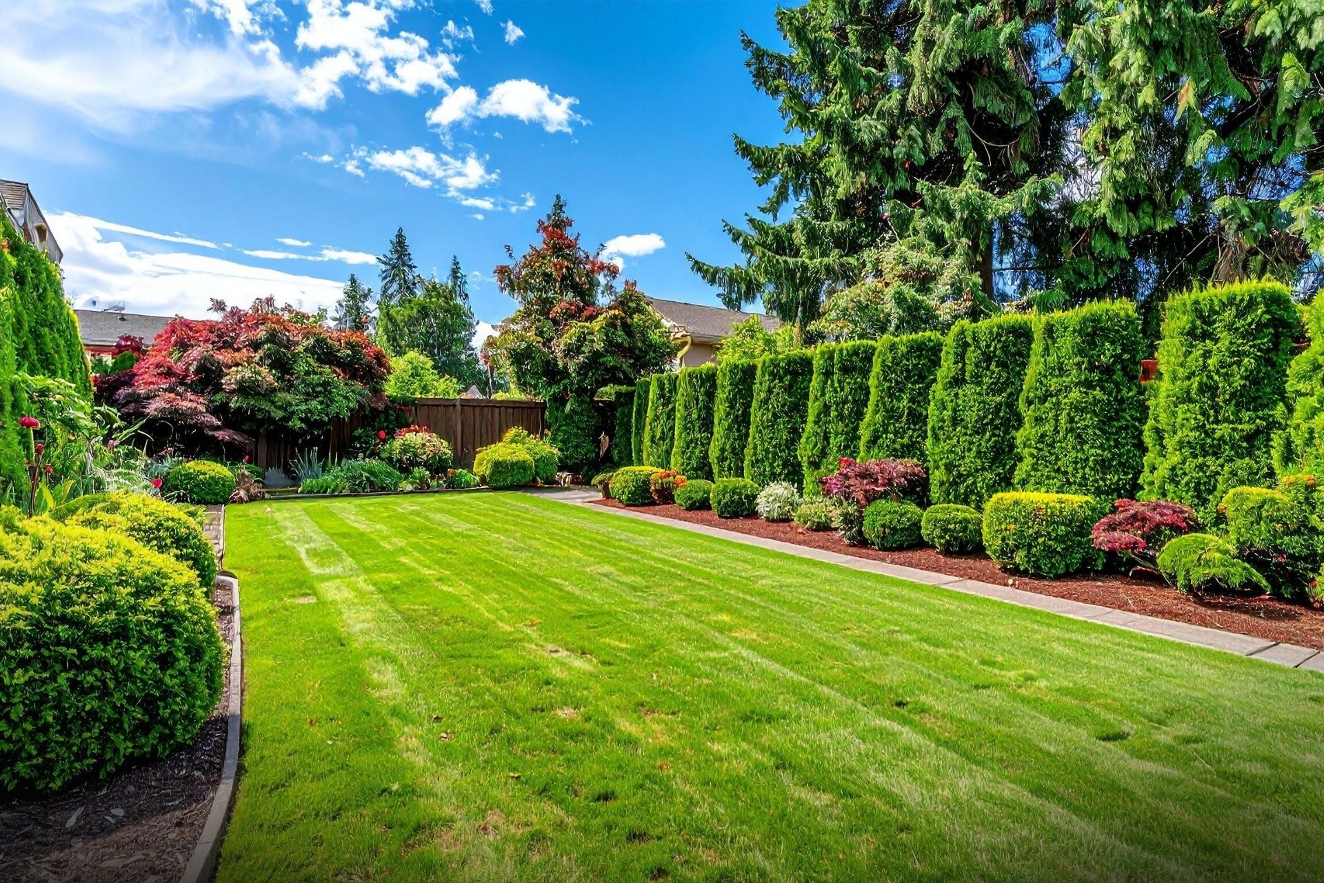 Cum să întreții gazonul pentru un aspect uniform și sănătos